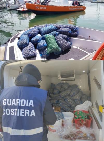 La Capitaneria di porto di Pescara sequestra 600 kg di vongole