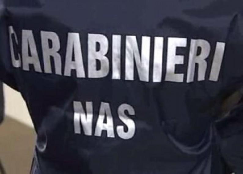 Controlli dei Carabinieri del Nas nelle mense scolastiche in Abruzzo