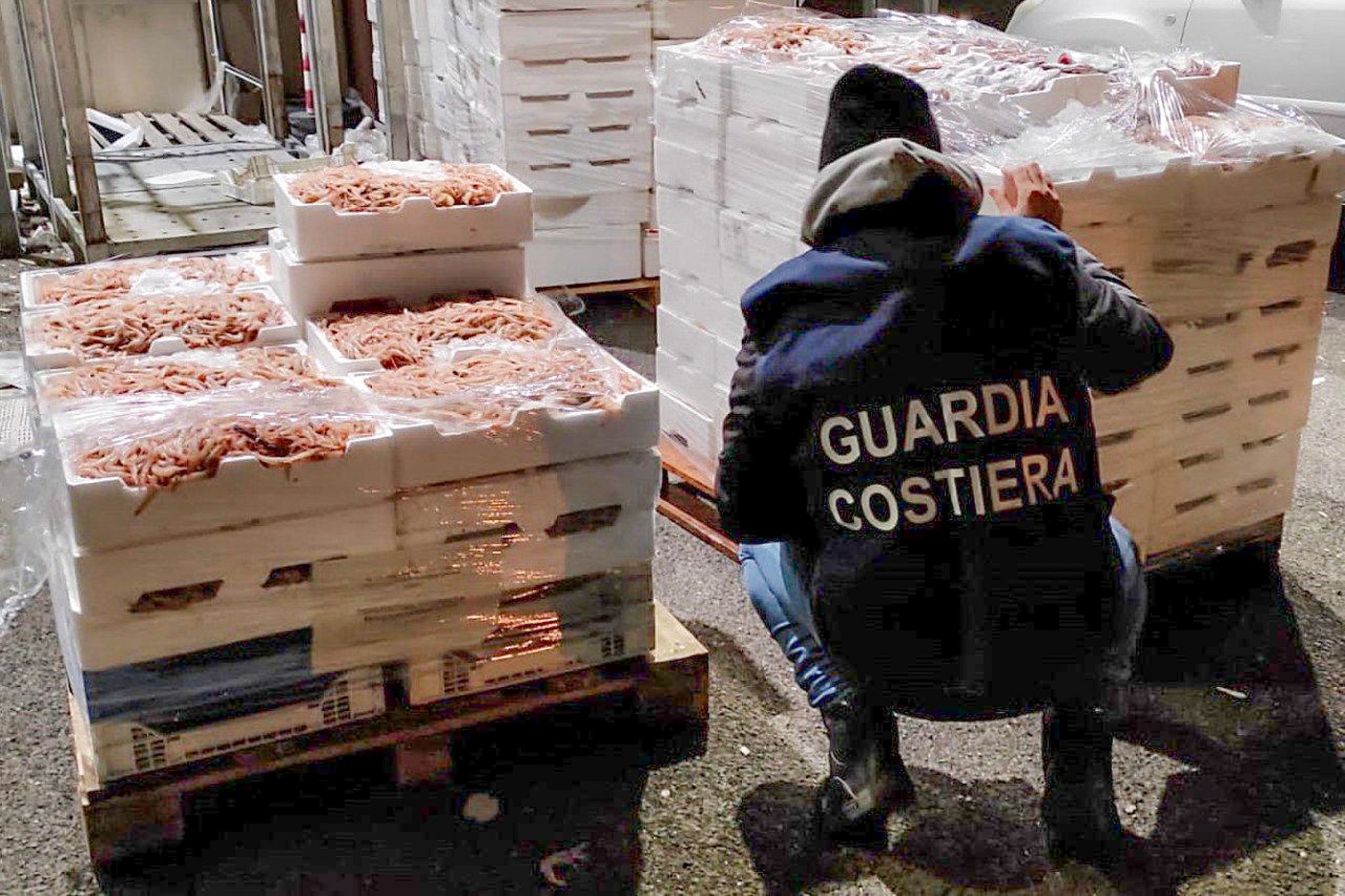 Operazione “Senza Traccia”, la Guardia Costiera di Pescara