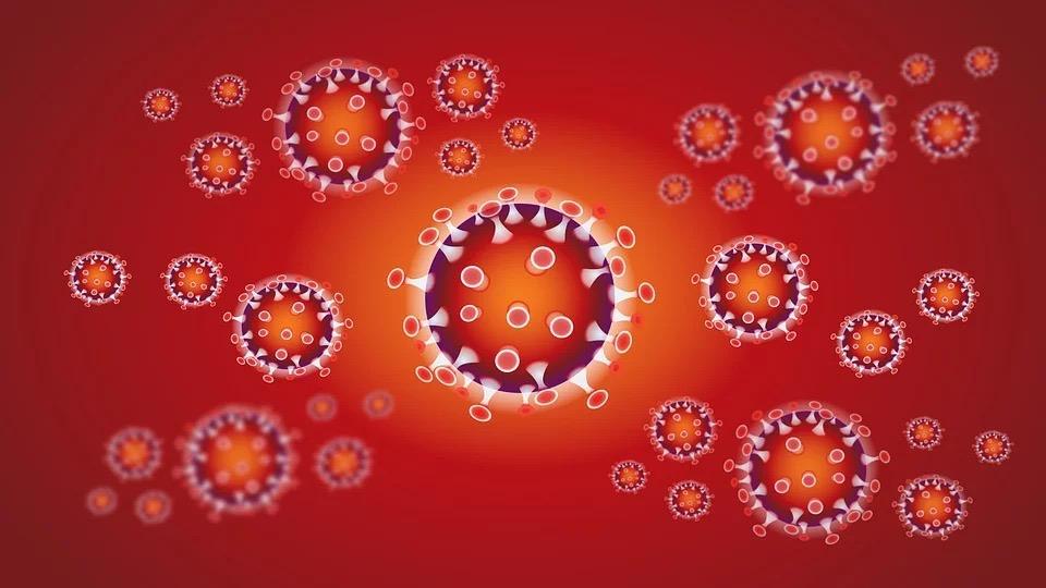 Coronavirus, 5 nuovi casi su un totale di 1377 tamponi analizzati.Dati aggiornati al 24 Maggio 2020