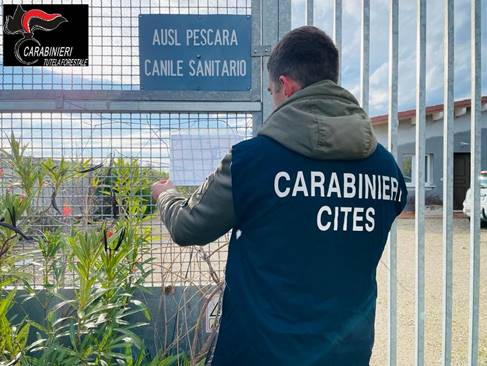 Pescara, canile sanitario sotto sequestro, LNDC E LAV scrivono al custode giudiziario: rimediare subito alle criticità