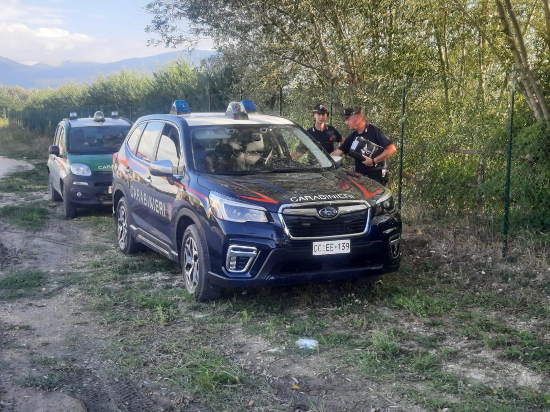 Orsa uccisa: indagine, su Amarena un solo colpo di carabina