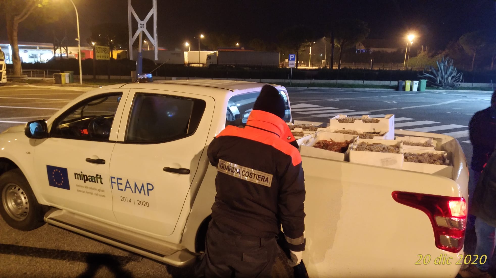 Controlli della Guardia Costiera di Pescara sulla filiera della pesca, sequestrati 220 kg di pesce sull'autostrada A25