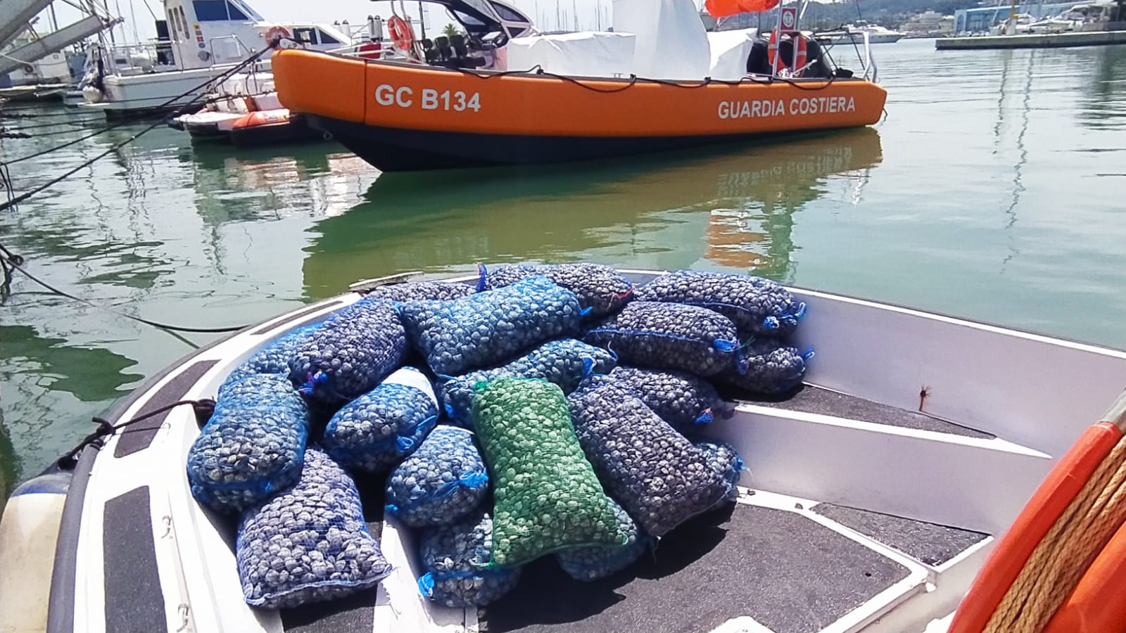 La Capitaneria di Porto di Pescara sequestra 230 kg di vongole