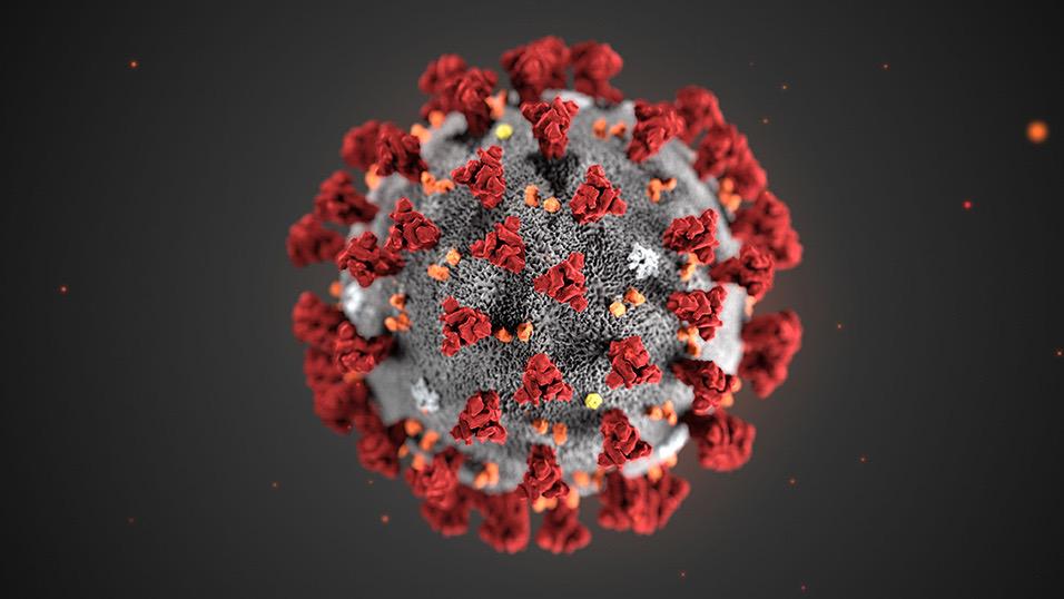 Coronavirus, 52 nuovi casi, si registra un sensibile calo dei contagi rispetto a ieri in Abruzzo