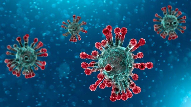 Coronavirus, 5 nuovi casi in Abruzzo 