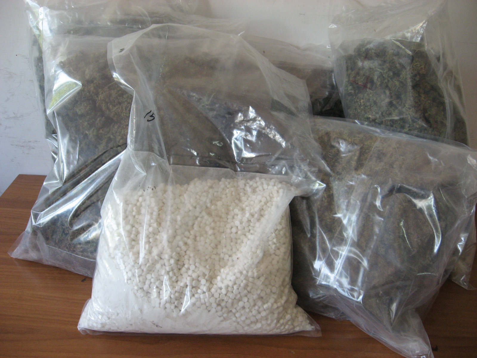 L'AQUILA: "DROGA TRA LE ORCHIDEE". LA GUARDIA DI FINANZA SEQUESTRA 15000 PASTICCHE DI EXTASY E CINQUE CHILOGRAMMI DI MARIJUANA