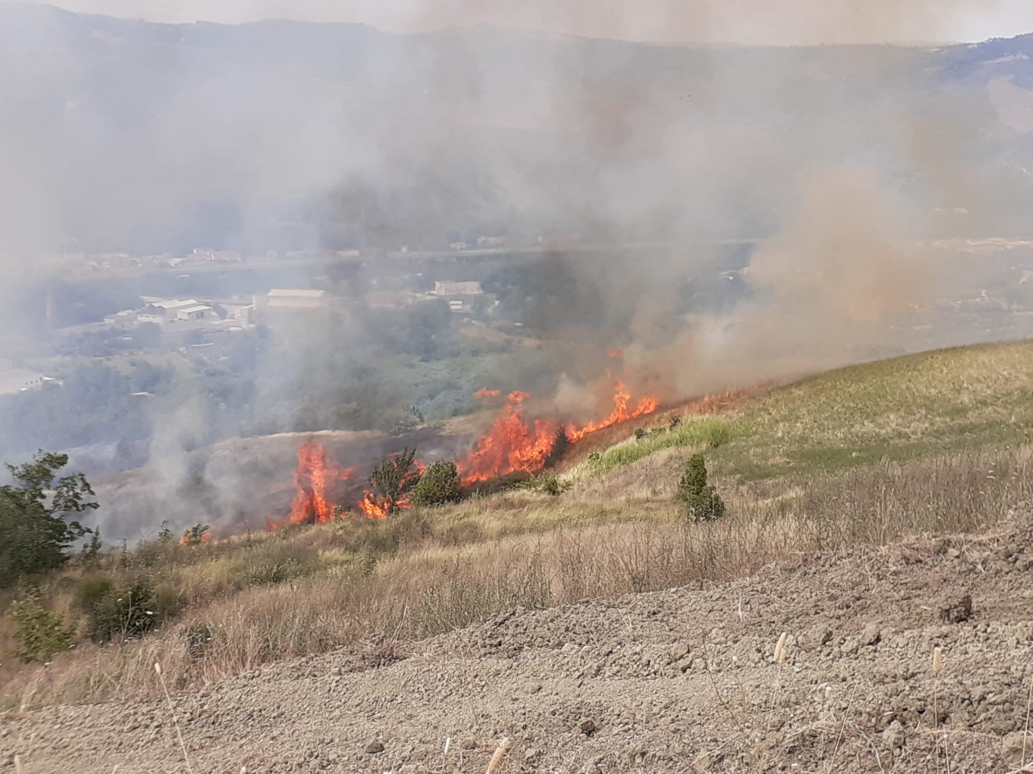 Bolognano, domato incendio a Colle Morto, in fumo 40 ettari di vigneti e uliveti