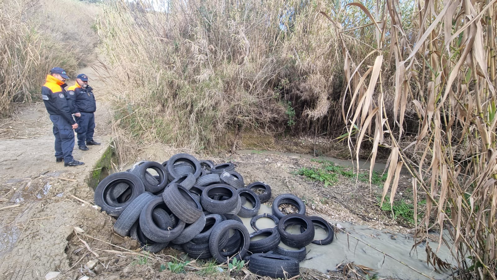 Bonifica del demanio marittimo a Silvi e Pineto: 760 kg di pneumatici illecitamente smaltiti sequestrati"