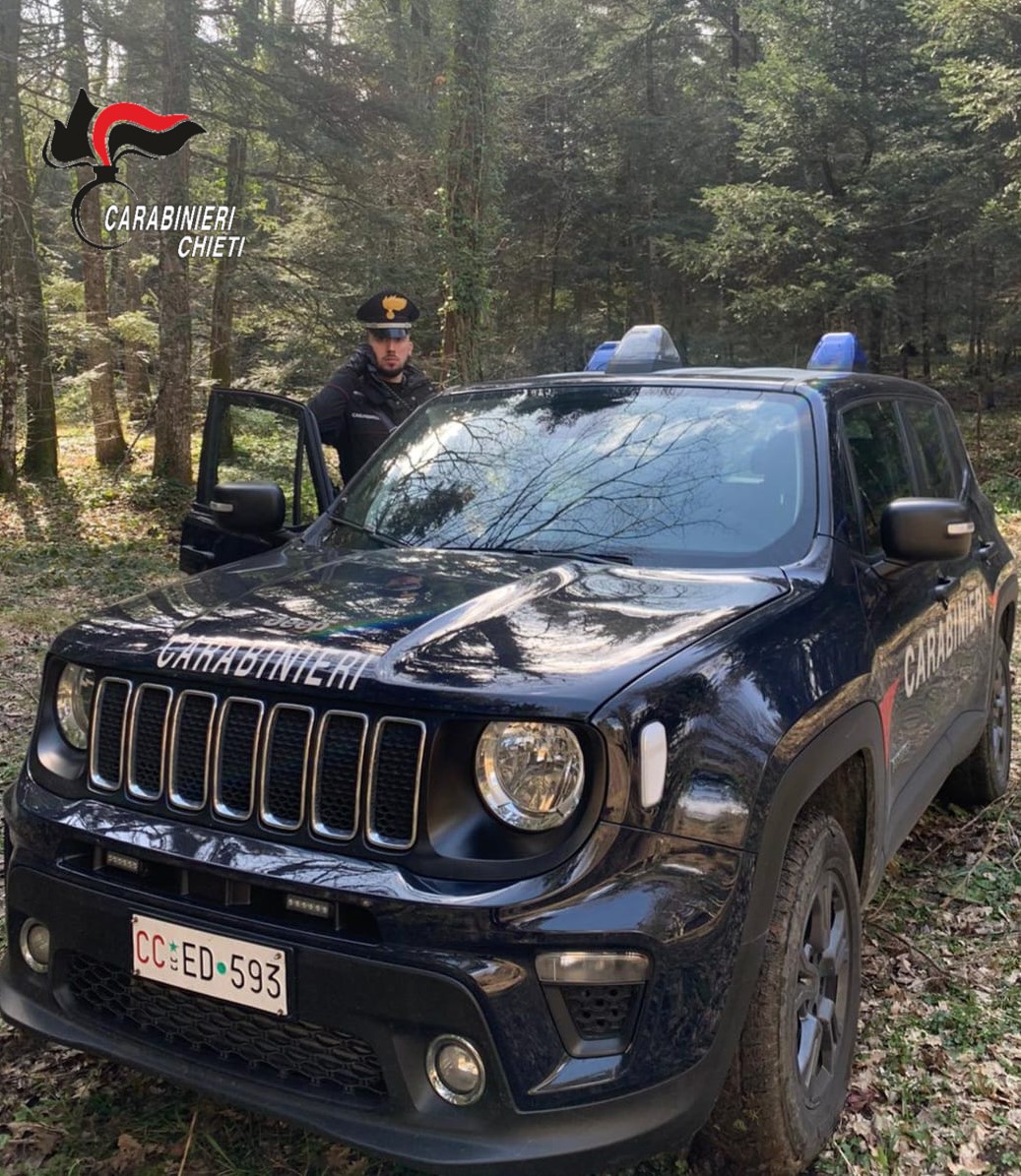 I carabinieri di Borrello traggano in salvo coppia di 70enni dispersa tra i boschi, a fargli da guida un esperto allevatore