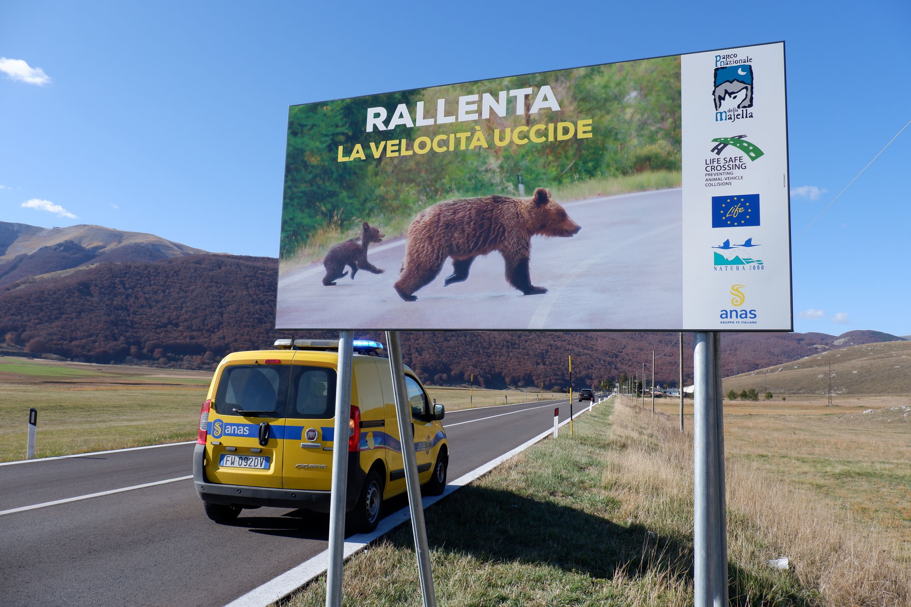 Parco Nazionale della Majella e Anas insieme per impedire incidenti con la fauna selvatica   