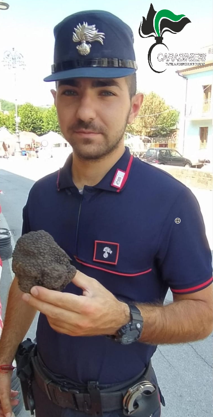 Intensificati i controlli dei Carabinieri Forestali nel periodo di divieto di raccolta del tartufo 
