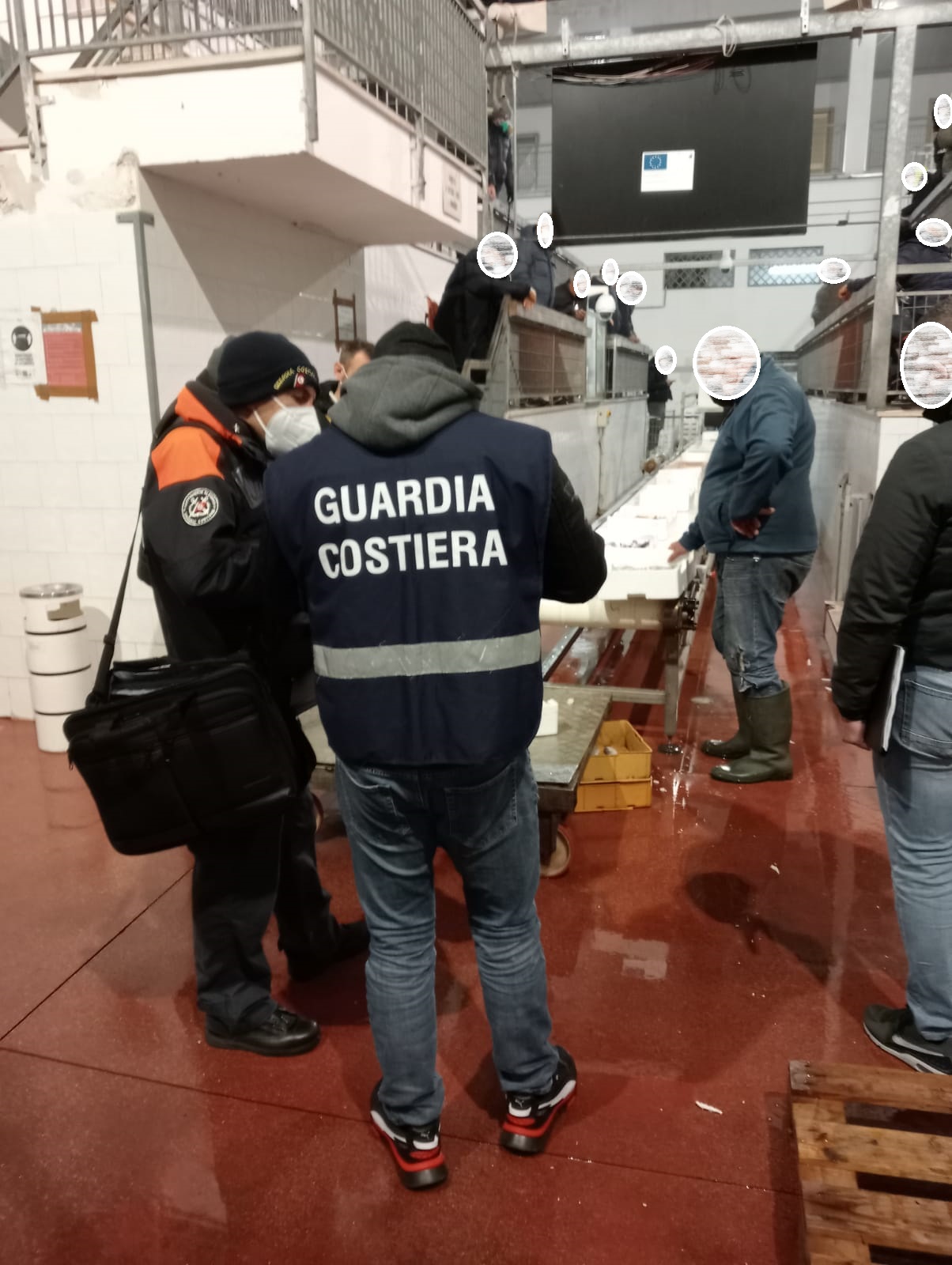 Ortona, Controlli di Capitaneria di Porto e Carabinieri del Nas Pescara, al mercato ittico