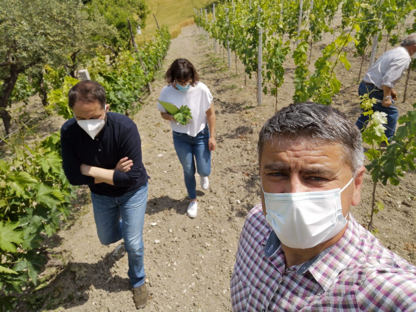 Gessopalena, progetto sui vitigni autoctoni di Pretalucente, al via l’attività formativa condotta dall’Università di Perugia 