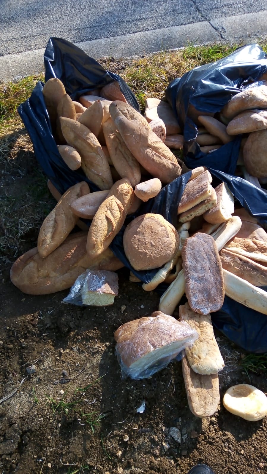 Fossacesia, scoperto dagli ispettori Ambientali grosso quantitativo di pane scaricato in strada