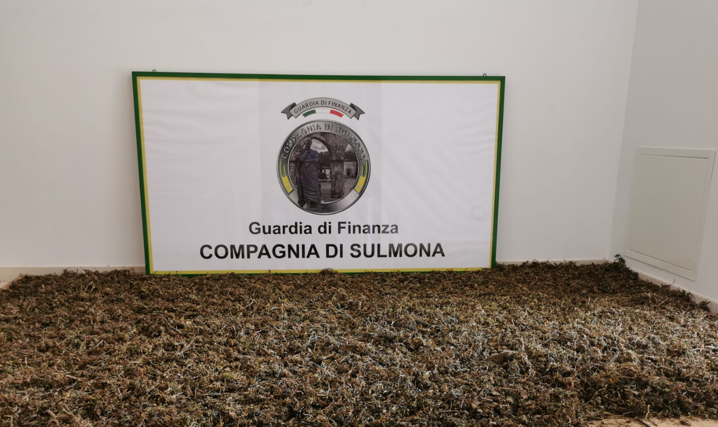 Guardia di Finanza di Sulmona scopre piantagione di marijuana