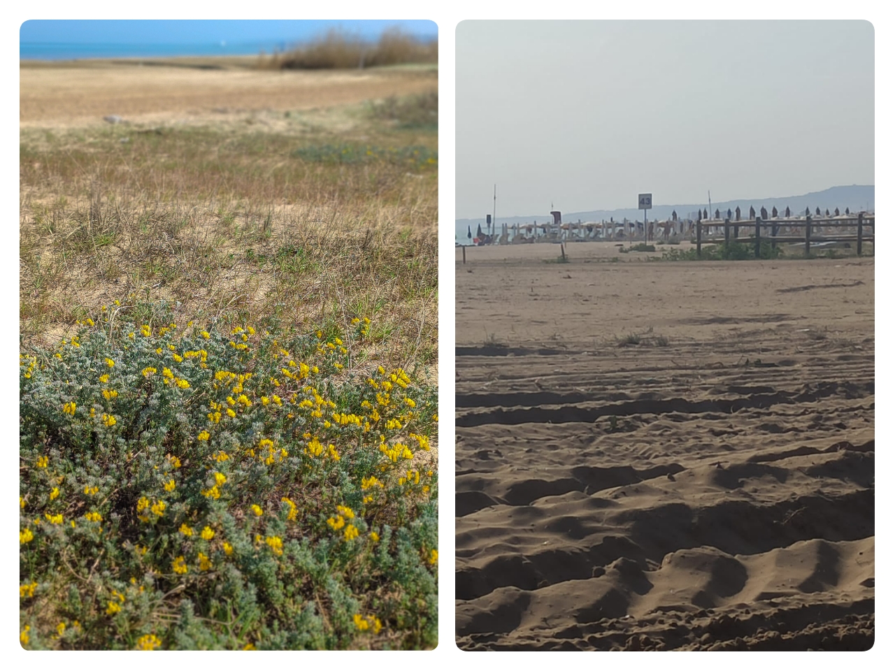 Jova Beach Party a Vasto, SOA: addio al gineprino delle spiagge