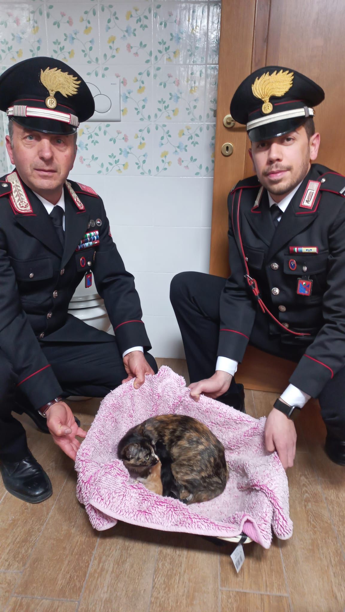 Abbandonati in un sacco di plastica due cuccioli di gatto salvati da una giovane donna che avvisa i carabinieri
