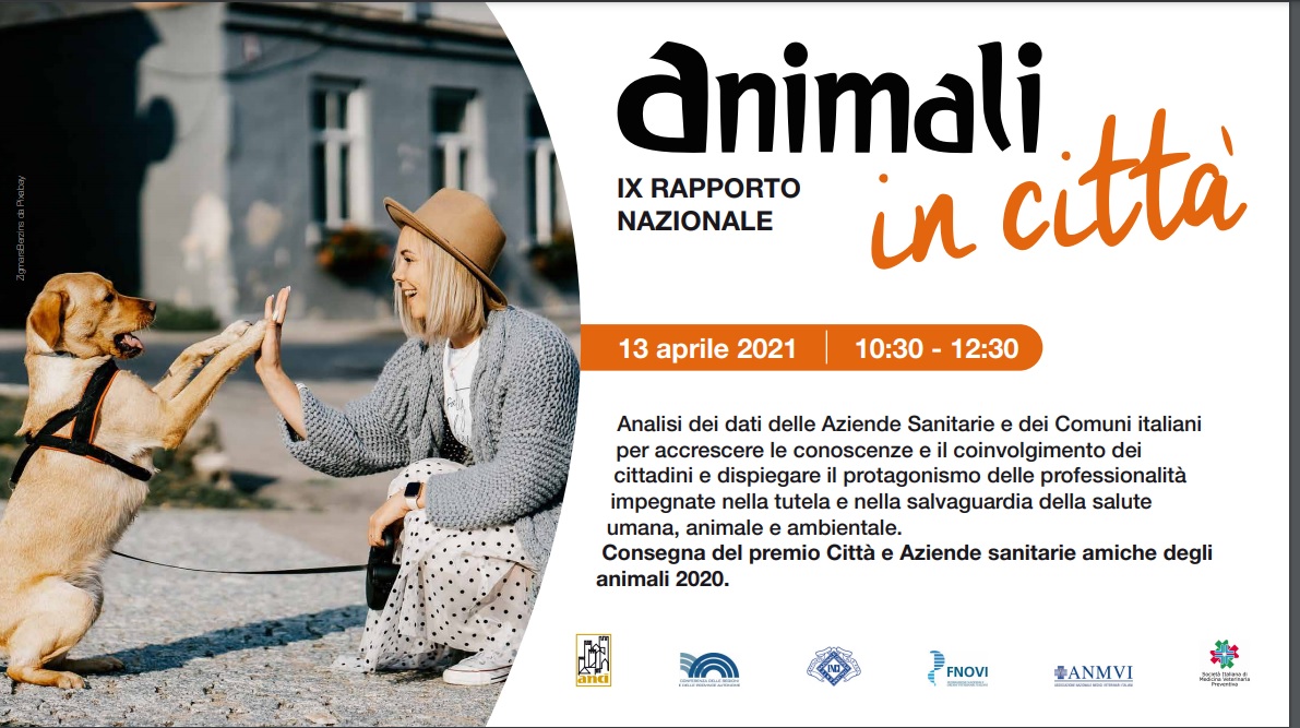 Legambiente: Il Problema degli animali in città si fa sempre più serio