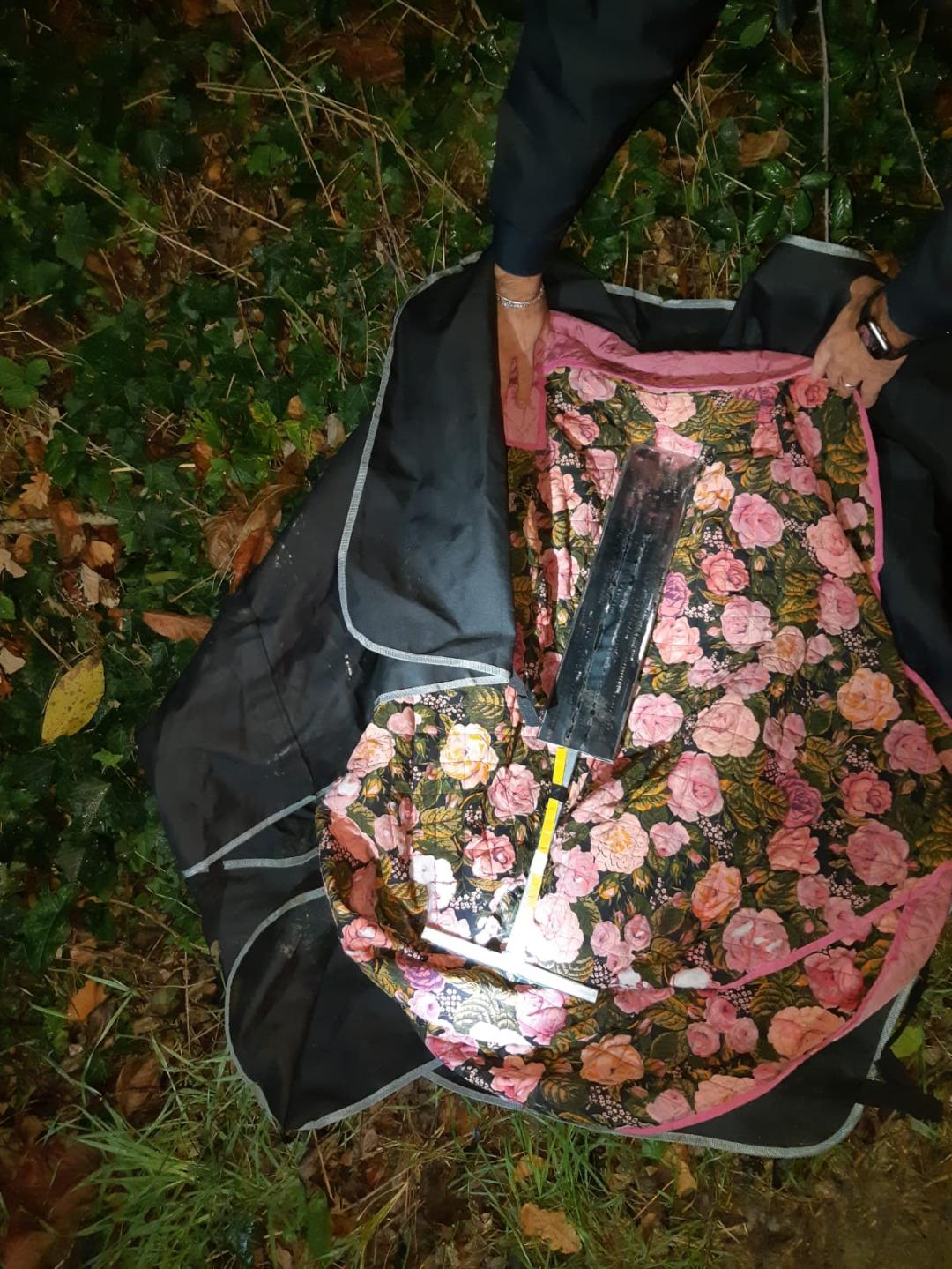 Tollo: Sgominata dai carabinieri la banda della “marmotta", in manette 4 pregiudicati foggiani
