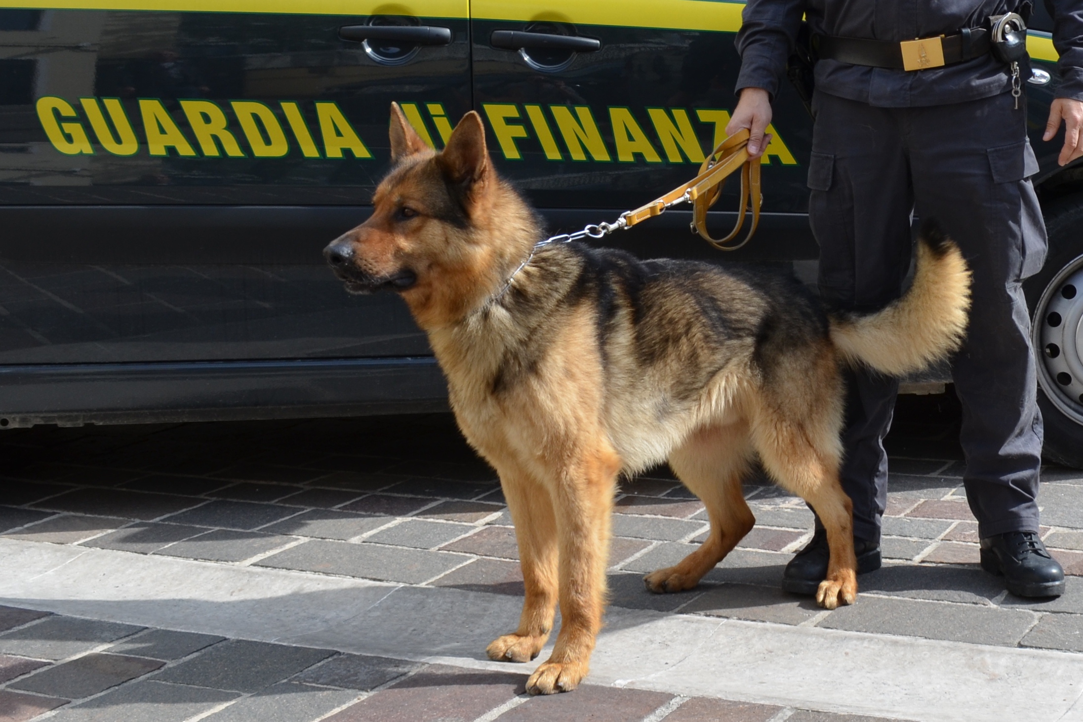 La Guardia di Finanza sequestra droga in due condomini di via Tavo a Pescara
