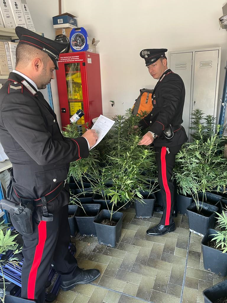 Ripa Teatina, arrestato dai carabinieri di Chieti un 44enne trovato con un ingente quantitativo di hashish e marijuana