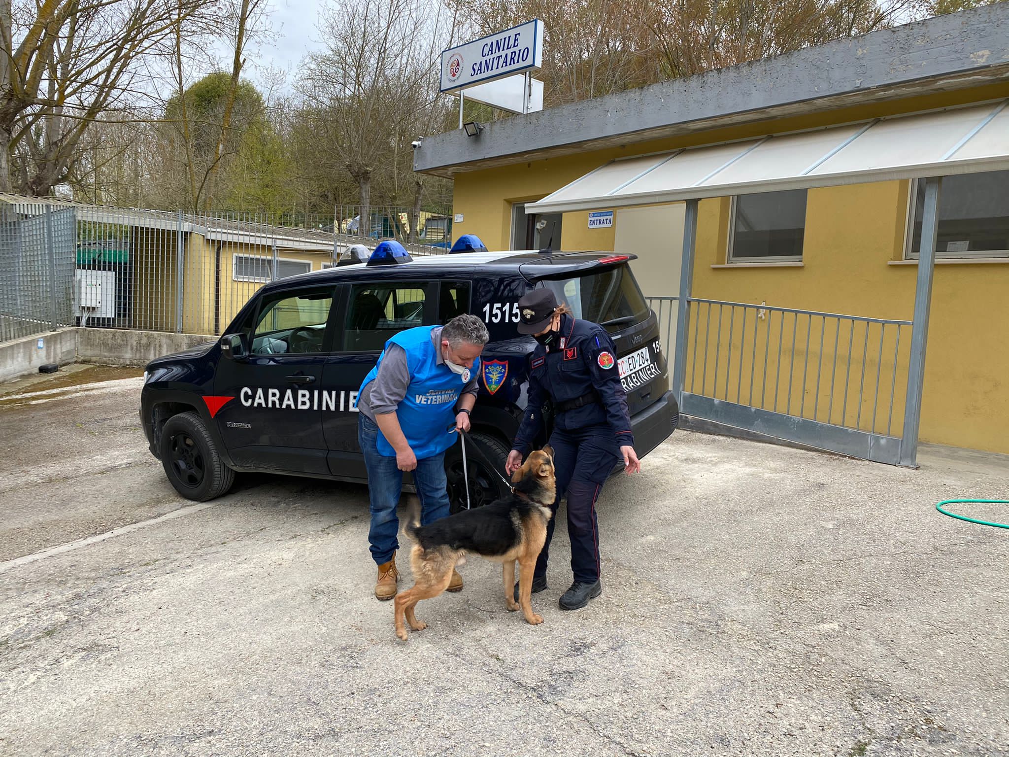 I Carabinieri forestali di Lanciano salvano cane segregato al buio e senza cibo