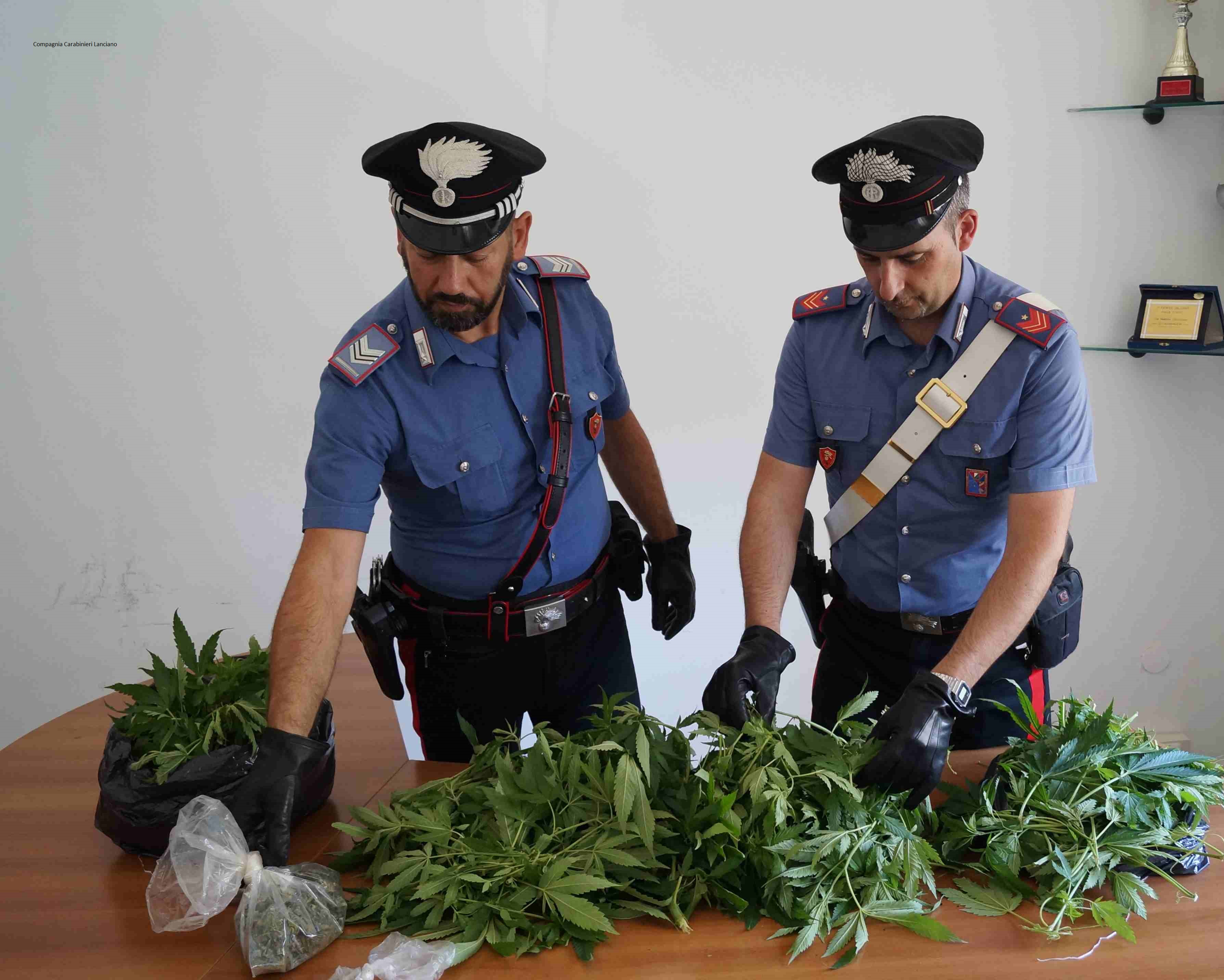 MARJUANA FAI DA TE. CARABINIERI SEQUESTRANO 20 PIANTE SUI BALCONI DI CASA E ARRESTANO UNA 60ENNE APPASSIONATA DI “ERBE”