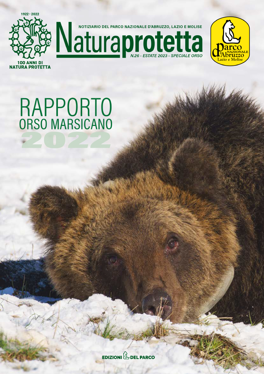 Rapporto Orso 2022: il contributo della Riserva Naturale Regionale Monte Genzana  Alto Gizio.