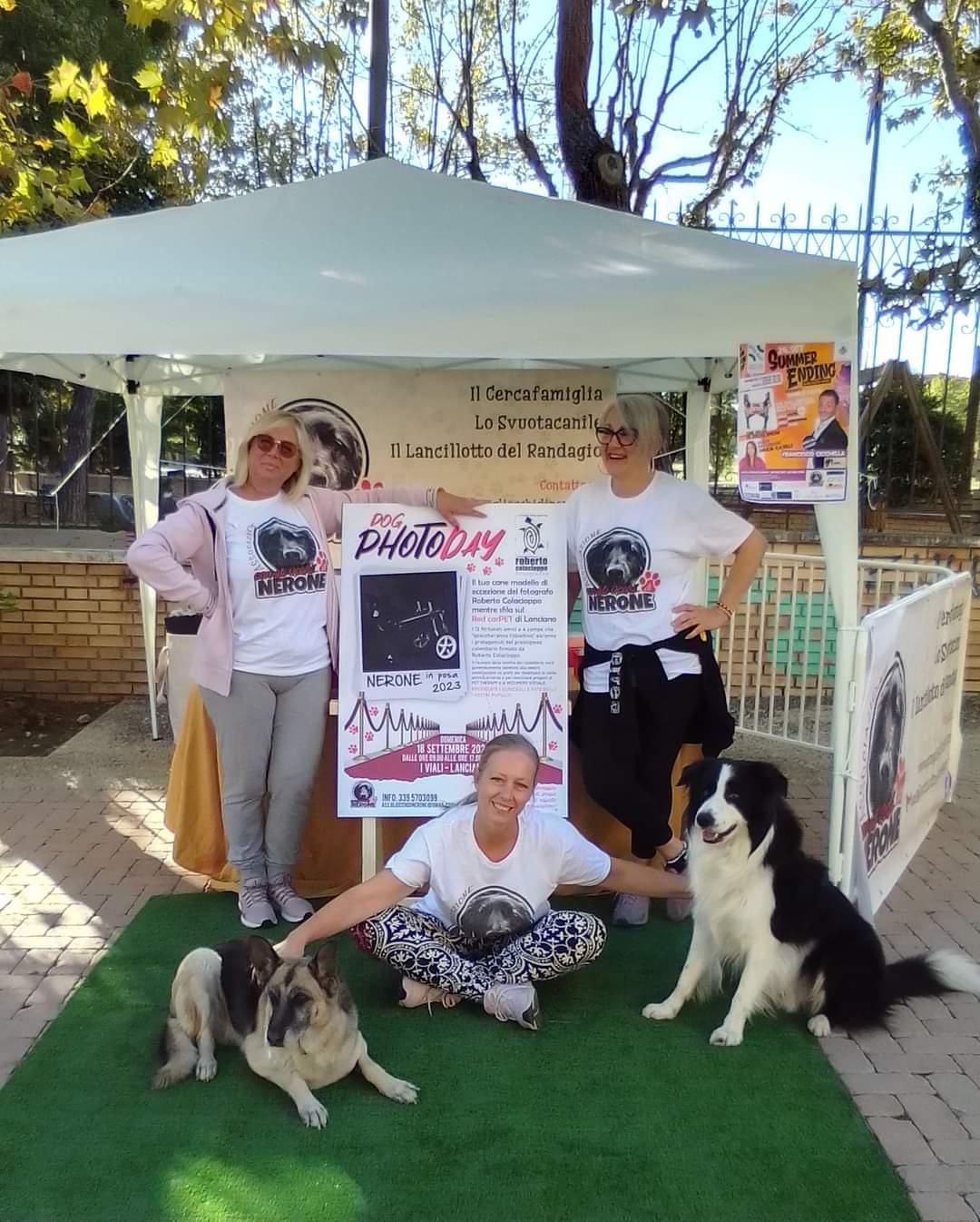 A Lanciano un calendario ed uno mostra fotografica per aiutare Nerone, il canetto disabile amato da tutti