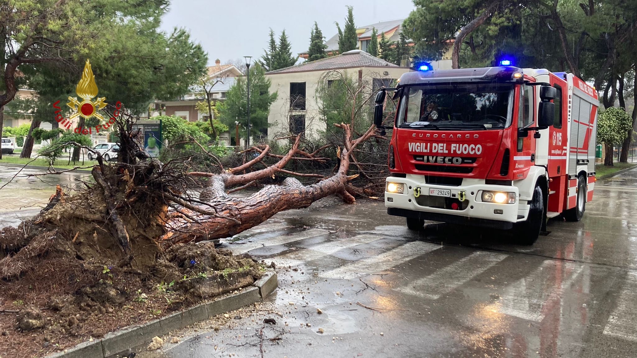 Squadre dei Vigili del Fuoco impegnate nella rimozione di alberi caduti a causa delle avverse condizioni meteo a Pescara
