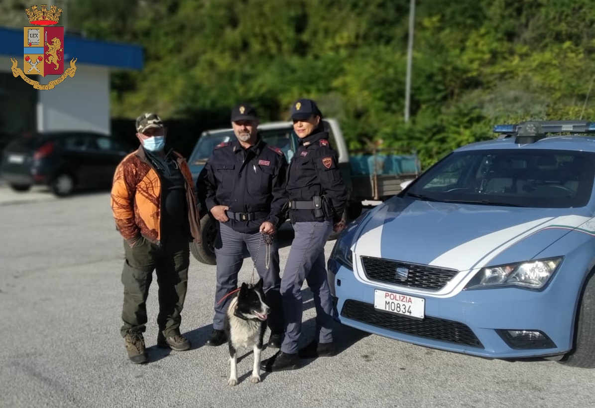 Sulmona, ritrovato dalla Polizia un Cane da Orso della Carella