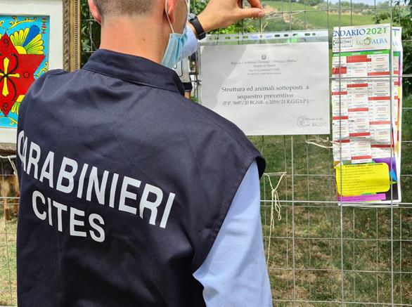 Manoppello, Operazione Freedom dei Carabinieri Forestale Pescara, sequestrato un canile