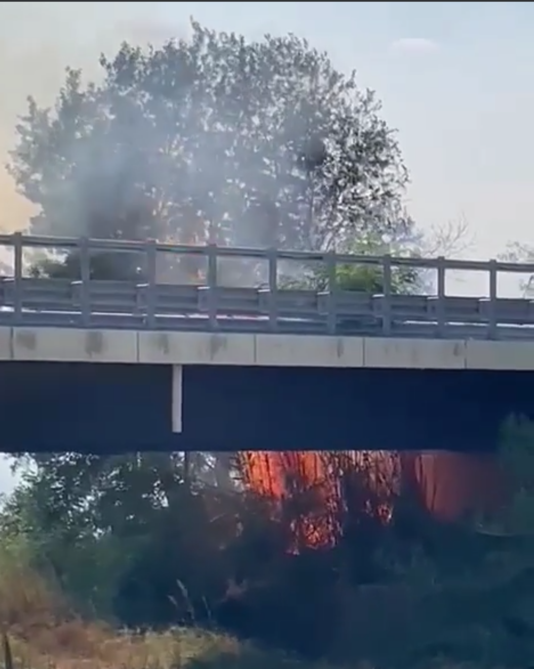 Incendio tra Fossacesia Marina e Torino di Sangro nei pressi del Ponte sul Sangro