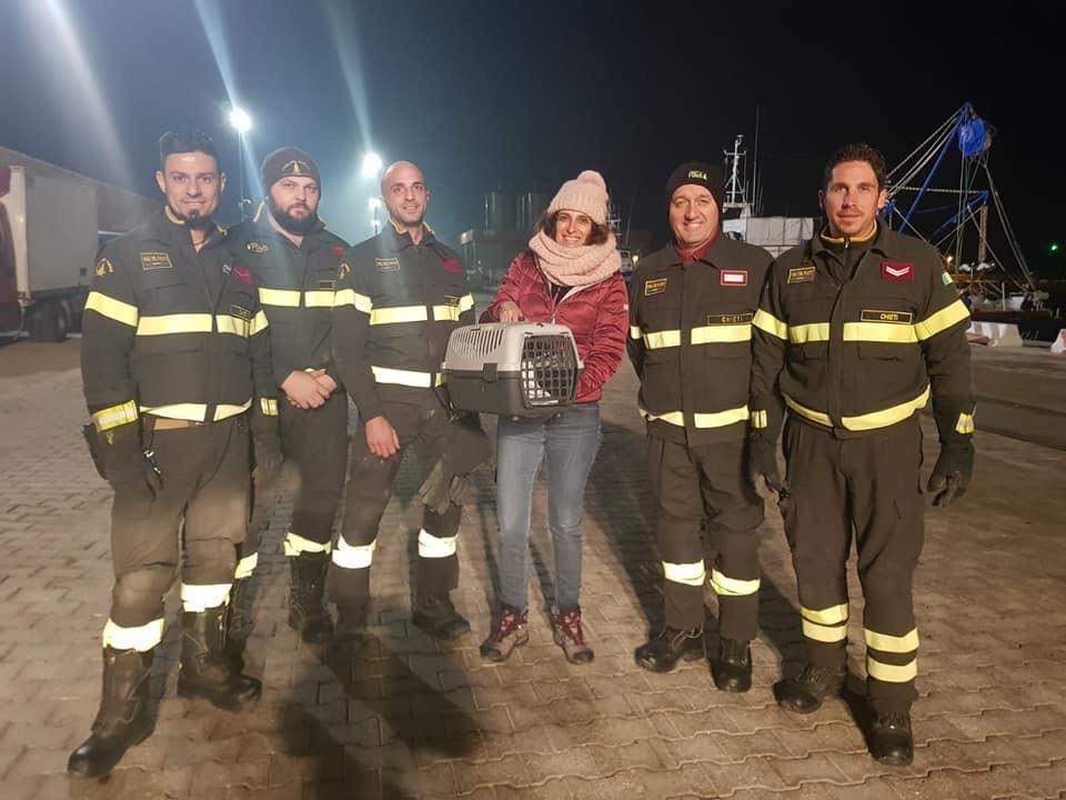 Vigili del Fuoco di Ortona e Lida insieme ieri per salvare due gattini