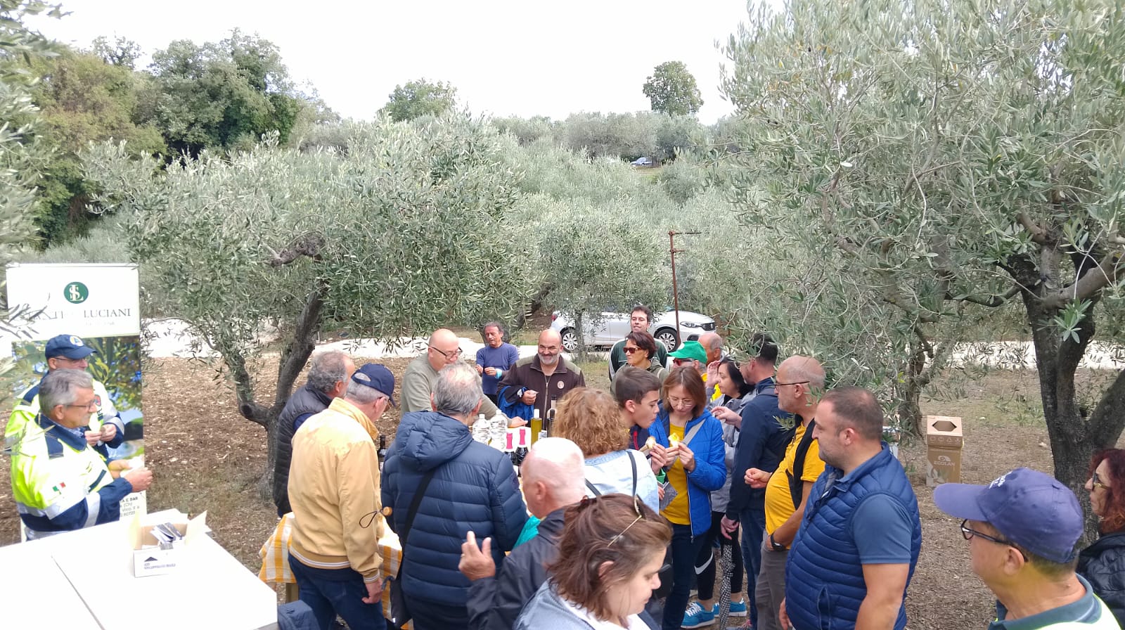 Grande partecipazione alla 7^ passeggiata tra gli olivi a Fossacesia