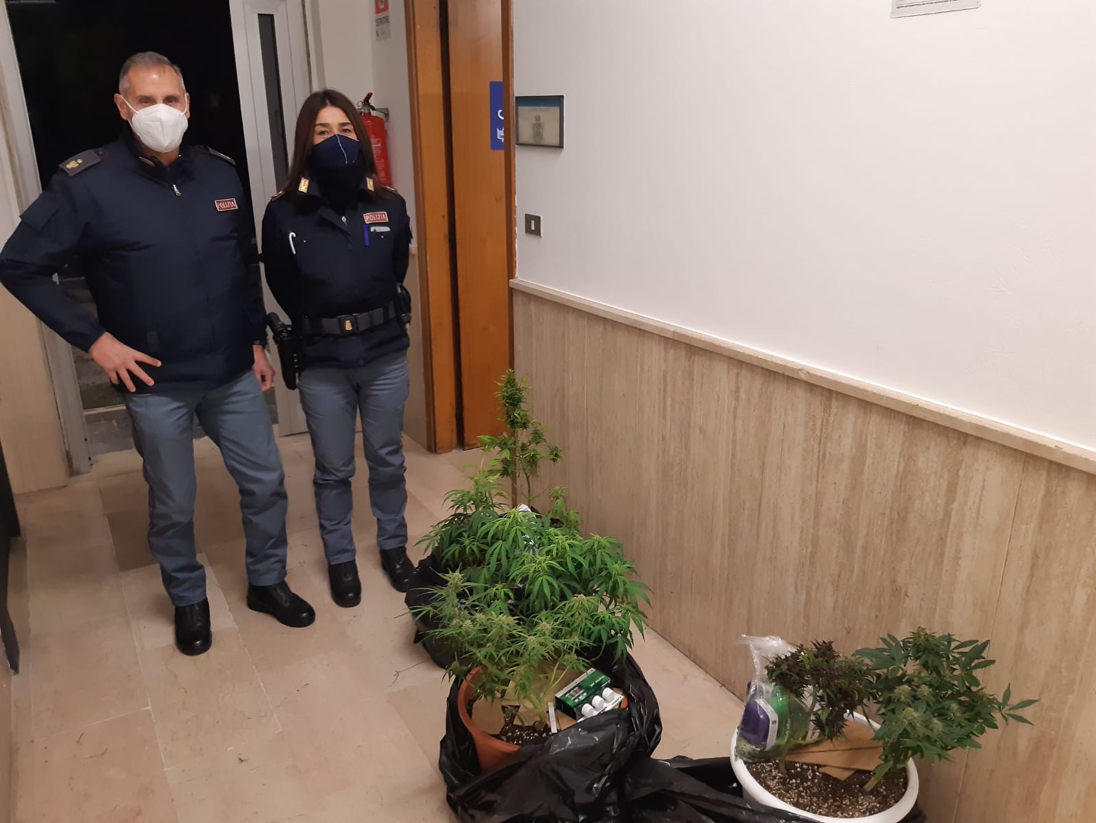 Pescara: arresto per maltrattamenti in famiglia, tentata estorsione, coltivazione e detenzione ai fini di spaccio di droga