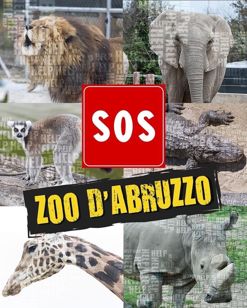 Coronavirus, imprenditori scendono in campo a sostegno degli animali dello Zoo D'Abruzzo